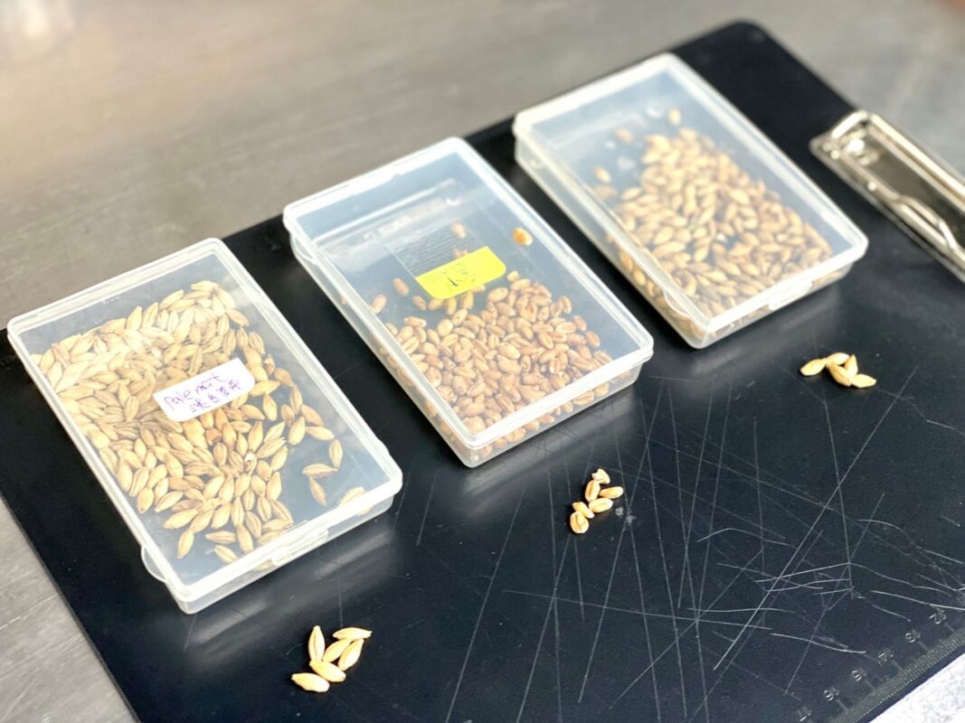 精釀啤酒 | 開平學苑
