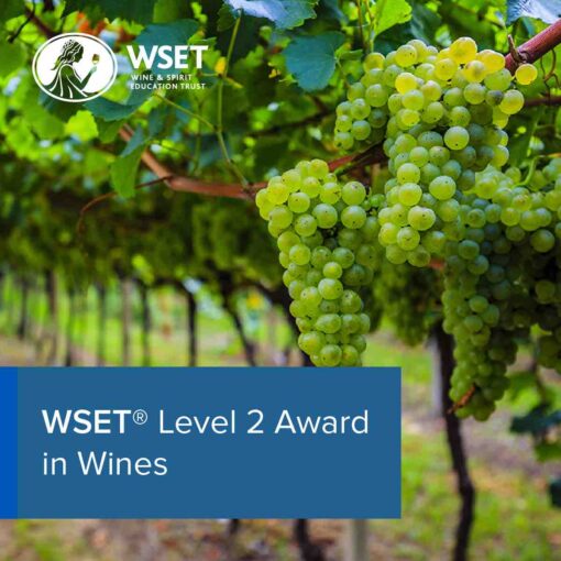WSET 葡萄酒第二級認證｜開平學苑
